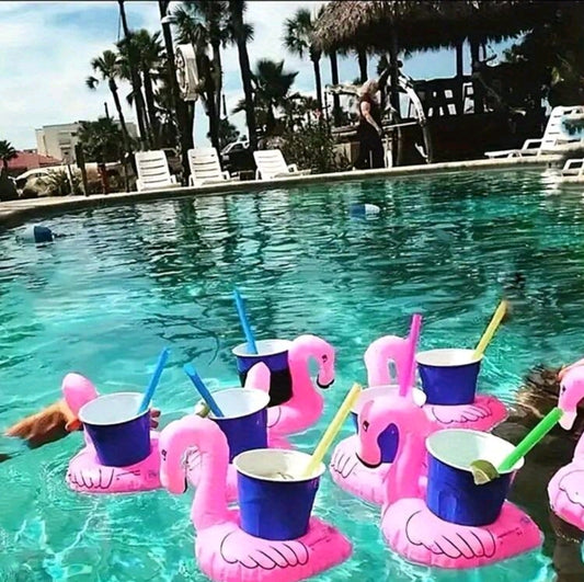 Flamingo by the pool
